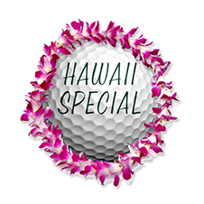 Hawaiian Vacation ($3,000 Value)